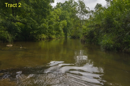 Land for Sale on Little River in Floyd VA! - image 5