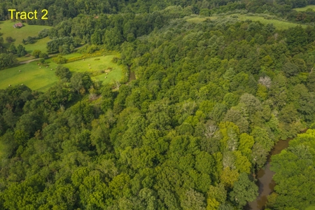Land for Sale on Little River in Floyd VA! - image 2