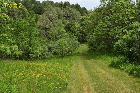 Land for Sale on Little River in Floyd VA! - image 6