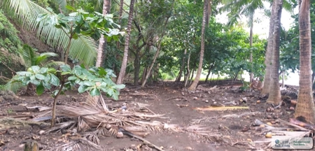 Beach Front Lot For Sale In Cambutal Panama - image 12