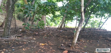 Beach Front Lot For Sale In Cambutal Panama - image 5