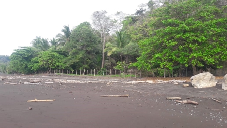 Beach Front Lot For Sale In Cambutal Panama - image 28