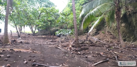 Beach Front Lot For Sale In Cambutal Panama - image 11