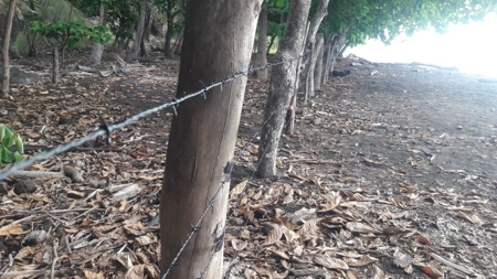 Beach Front Lot For Sale In Cambutal Panama - image 19