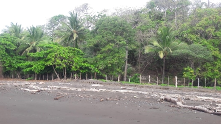 Beach Front Lot For Sale In Cambutal Panama - image 17