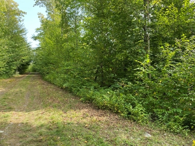 Waterfront Lot for Sale in Carroll Plt, ME - image 2