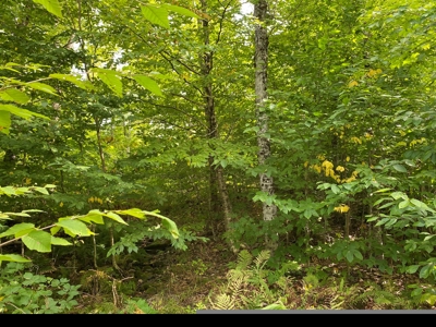 Waterfront Lot for Sale in Carroll Plt, ME - image 8
