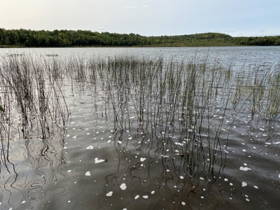 Waterfront Lot for Sale in Carroll Plt, ME - image 5
