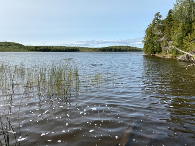Waterfront Lot for Sale in Carroll Plt, ME - image 1