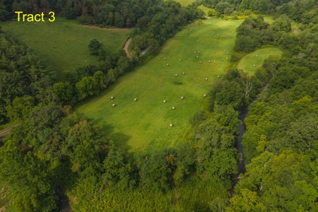River Front Building Land for Sale in Floyd VA! - image 5