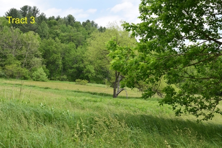River Front Building Land for Sale in Floyd VA! - image 11