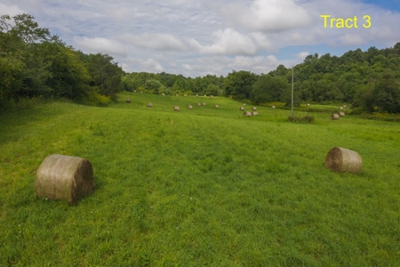 River Front Building Land for Sale in Floyd VA! - image 4