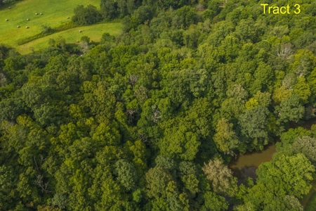 River Front Building Land for Sale in Floyd VA! - image 7