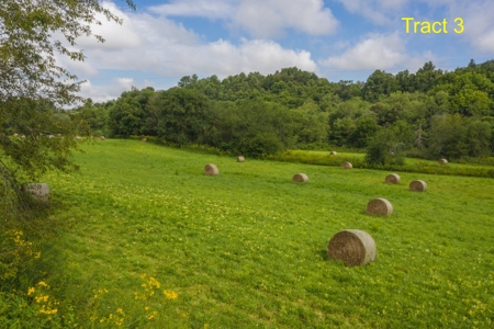 River Front Building Land for Sale in Floyd VA! - image 3