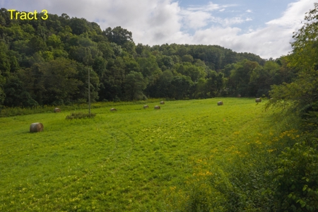 River Front Building Land for Sale in Floyd VA! - image 2