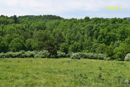 River Front Building Land for Sale in Floyd VA! - image 10