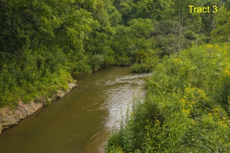 River Front Building Land for Sale in Floyd VA! - image 9
