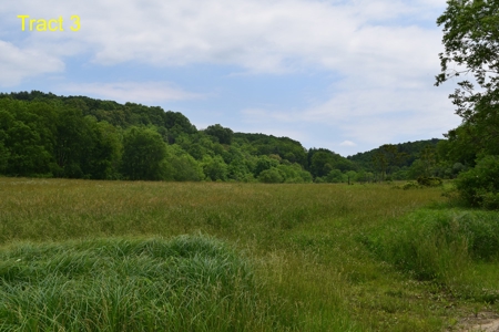 River Front Building Land for Sale in Floyd VA! - image 12