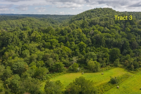 River Front Building Land for Sale in Floyd VA! - image 6