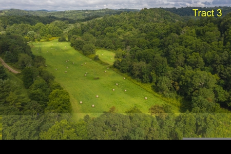 River Front Building Land for Sale in Floyd VA! - image 1