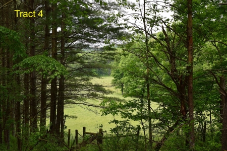Recreational Land for Sale in Floyd VA! - image 5