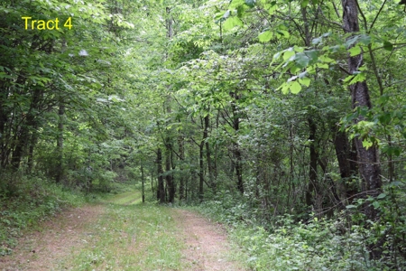 Recreational Land for Sale in Floyd VA! - image 4