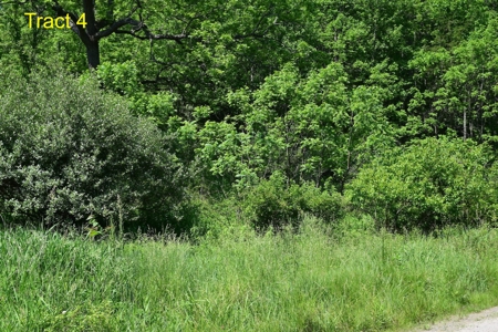 Recreational Land for Sale in Floyd VA! - image 2