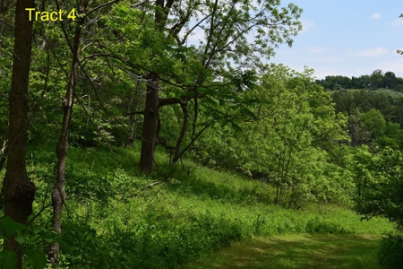 Recreational Land for Sale in Floyd VA! - image 1