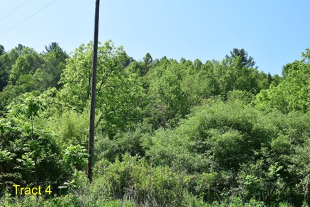 Recreational Land for Sale in Floyd VA! - image 3
