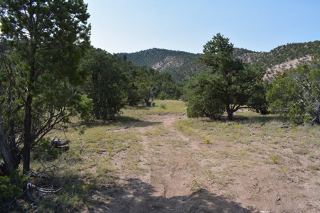 United Country Mike Krieg Mountain off grid land for sale - image 30