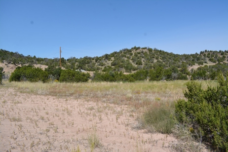 United Country Mike Krieg Mountain off grid land for sale - image 7