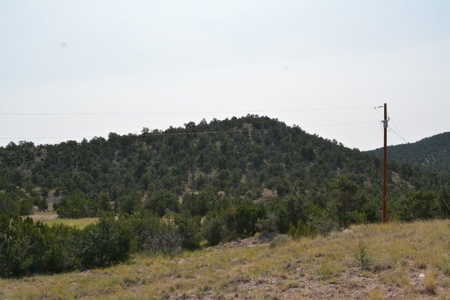 United Country Mike Krieg Mountain off grid land for sale - image 14