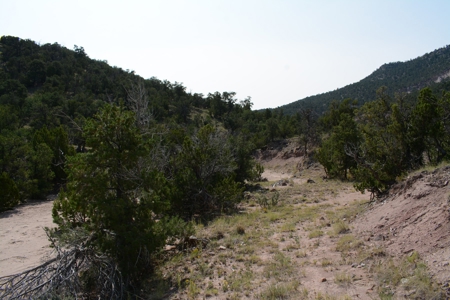 United Country Mike Krieg Mountain off grid land for sale - image 5