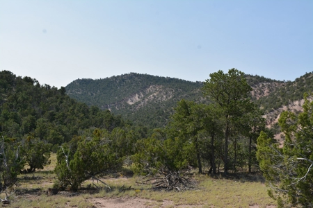 United Country Mike Krieg Mountain off grid land for sale - image 4