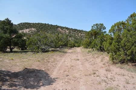 United Country Mike Krieg Mountain off grid land for sale - image 29