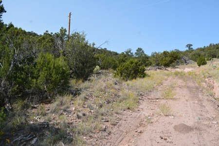 United Country Mike Krieg Mountain off grid land for sale - image 13