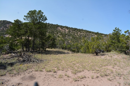United Country Mike Krieg Mountain off grid land for sale - image 2