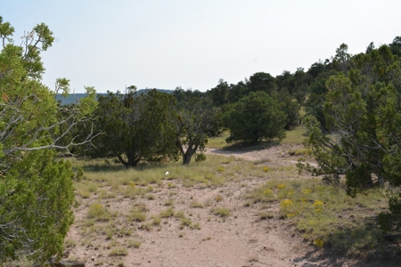 United Country Mike Krieg Mountain off grid land for sale - image 12