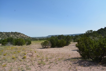 United Country Mike Krieg Mountain off grid land for sale - image 22