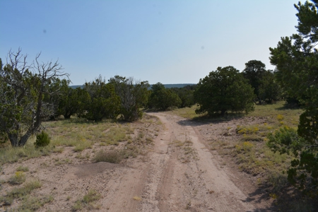 United Country Mike Krieg Mountain off grid land for sale - image 28