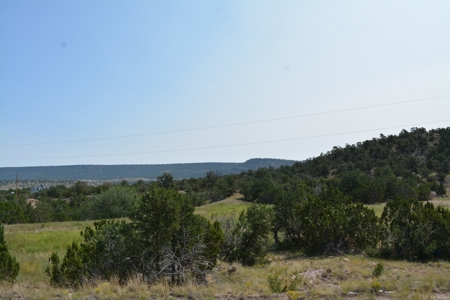 United Country Mike Krieg Mountain off grid land for sale - image 21