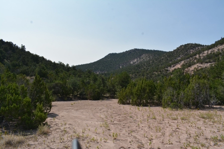 United Country Mike Krieg Mountain off grid land for sale - image 9