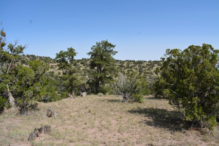 United Country Mike Krieg Mountain off grid land for sale - image 27