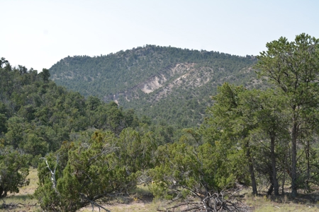 United Country Mike Krieg Mountain off grid land for sale - image 3