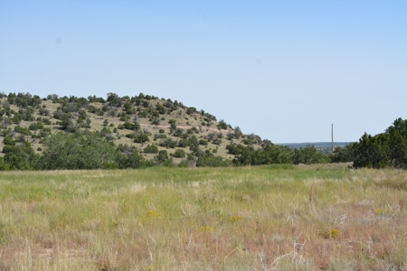 United Country Mike Krieg Mountain off grid land for sale - image 8