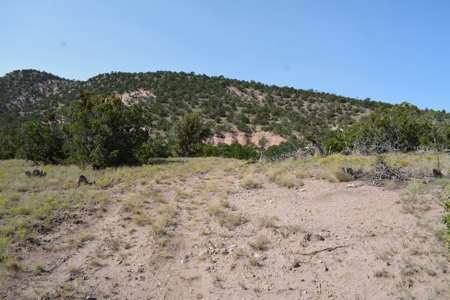 United Country Mike Krieg Mountain off grid land for sale - image 31