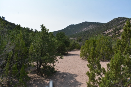 United Country Mike Krieg Mountain off grid land for sale - image 1