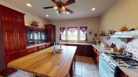 Ranch for sale in Deming NM - image 10