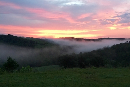 Hunting & Cattle Ranch For Sale In Eureka Springs Arkansas - image 5