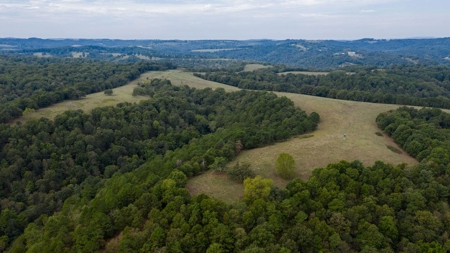 Hunting & Cattle Ranch For Sale In Eureka Springs Arkansas - image 24